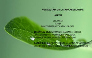 NORMAL SKIN DAILY SKINCARE ROUTINE